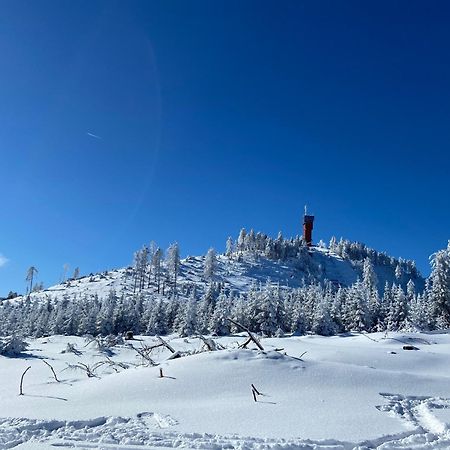 Bergtraum Braunlage Im Harz, 17 Gaeste, Sauna, Pool别墅 外观 照片