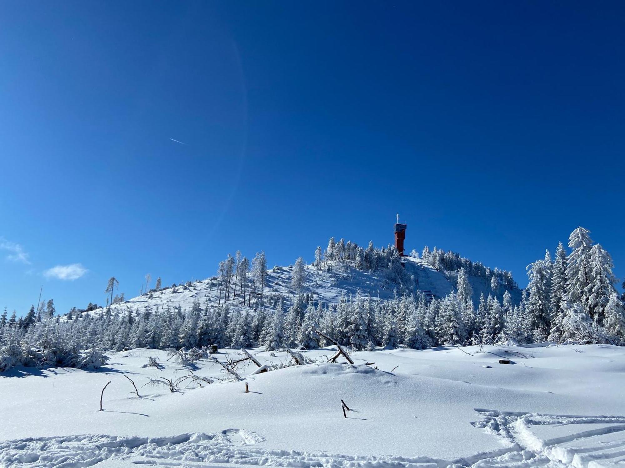 Bergtraum Braunlage Im Harz, 17 Gaeste, Sauna, Pool别墅 外观 照片