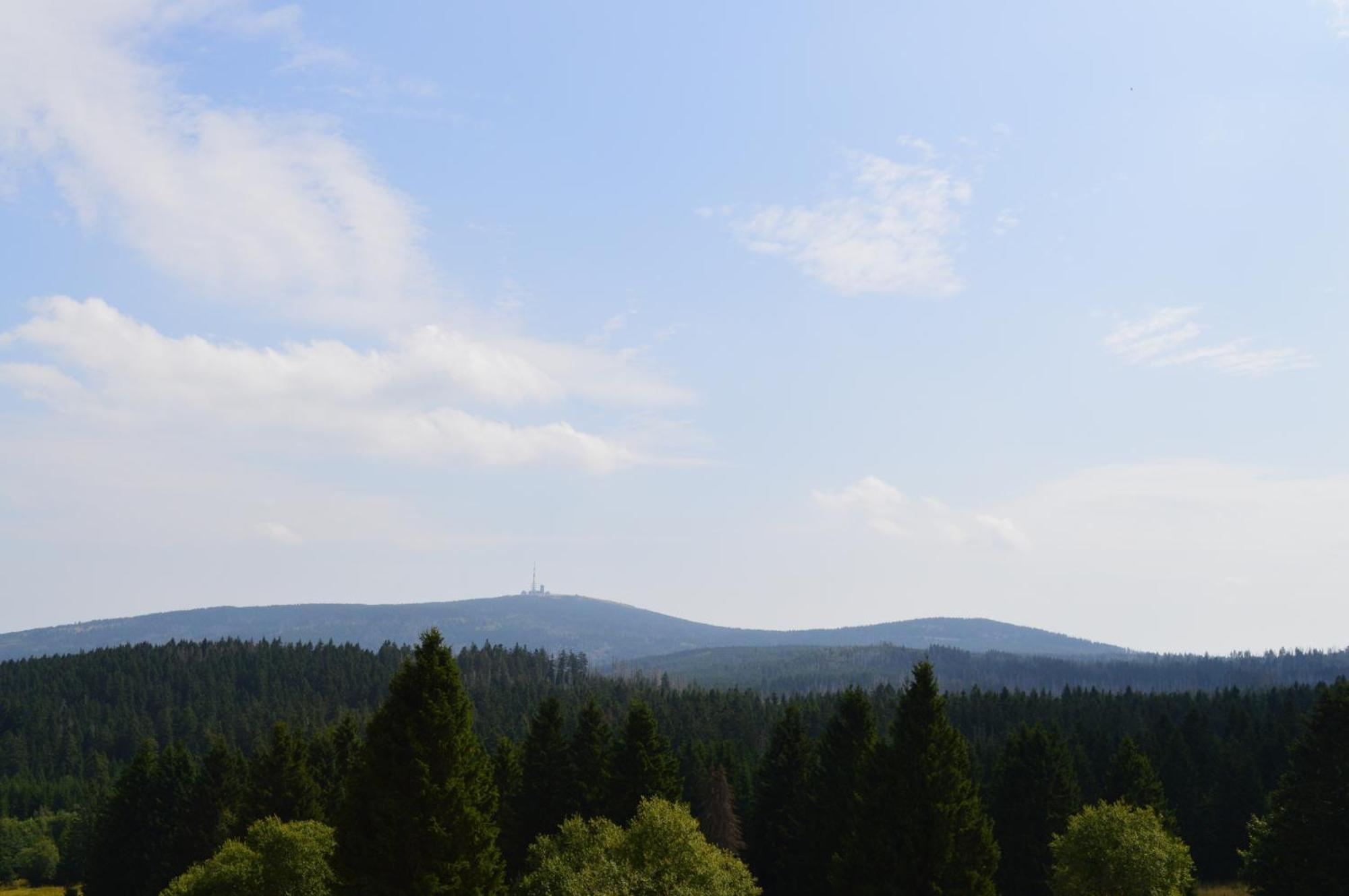Bergtraum Braunlage Im Harz, 17 Gaeste, Sauna, Pool别墅 外观 照片