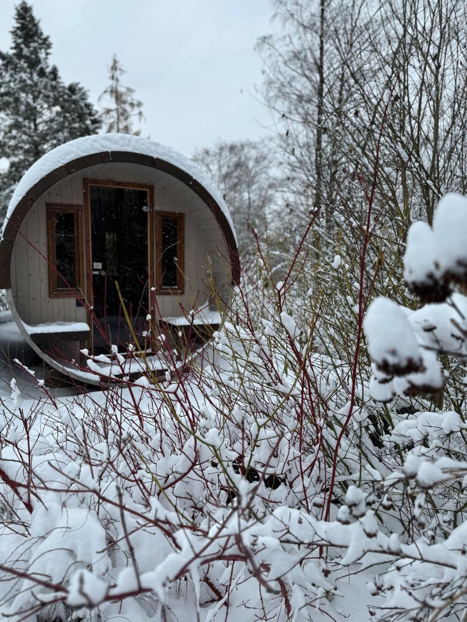 Bergtraum Braunlage Im Harz, 17 Gaeste, Sauna, Pool别墅 外观 照片